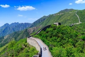 china (1)